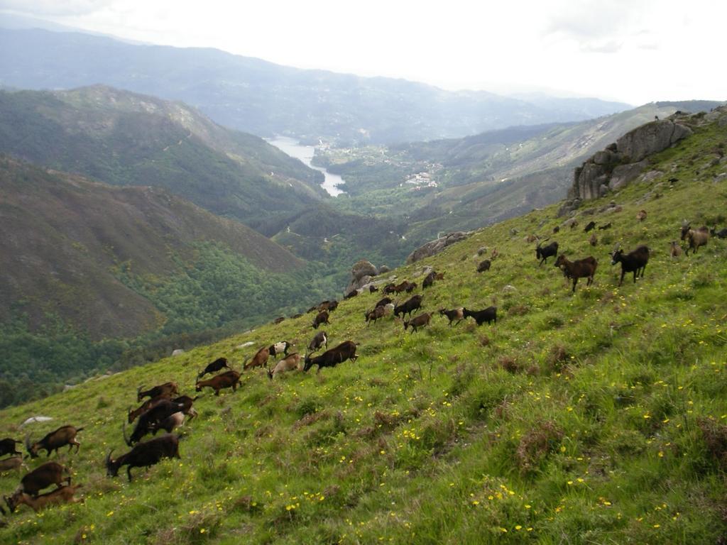 Casa Sulfato Villa Campo do Geres Kültér fotó